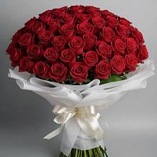 Букет 101 Красная роза Блэк Мэджик в Купино