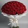 Букет 101 Красная роза Блэк Мэджик в Купино