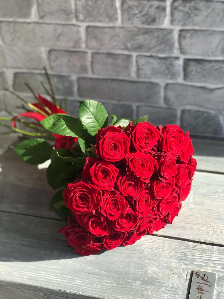 Букет Красные розы Фридом в Купино