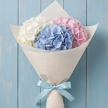 Букет цветов из:  Гортензия в Купино