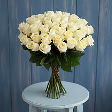 Букет 51 Белая роза Эдлесс Лав в Купино