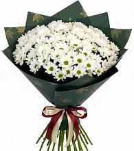 Букет цветов из:  Хризантемы в Купино