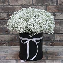 Цветочная композиция из Гипсофила в шляпной коробке в Купино