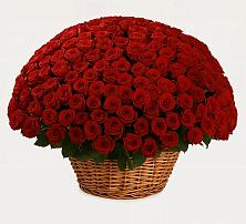 Премиум букет из: Розы в Купино